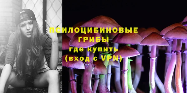 spice Киреевск