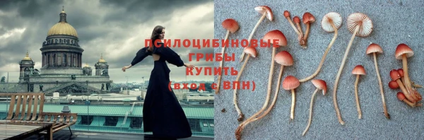 spice Киреевск