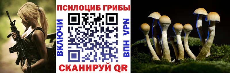 Купить закладки  Мирный  Галлюциногенные грибы ЛСД 